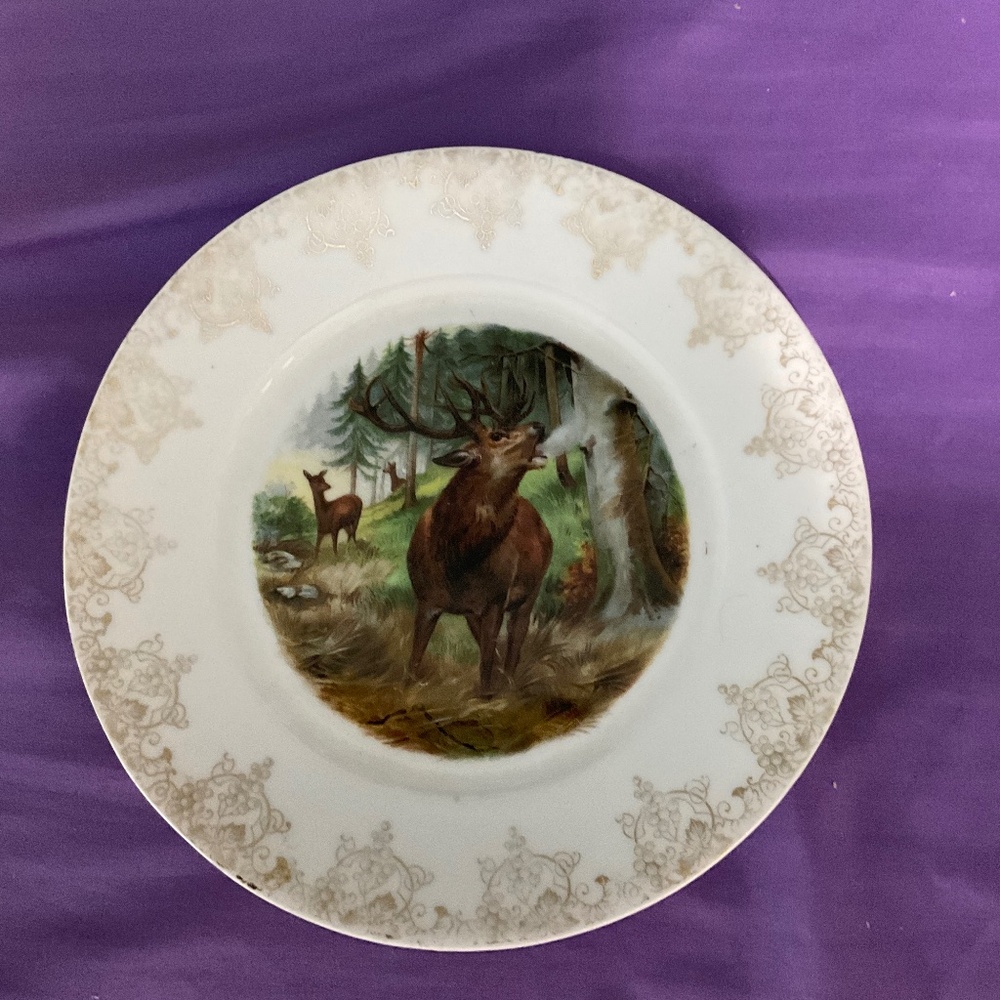 8.5” Bavarian decorative plate. H161